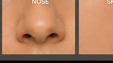 Nose structure close-up reference of Ghazaleh Ghasemi — bilingual master of ceremonies, motivational speaker, Toronto, Persian-Canadian